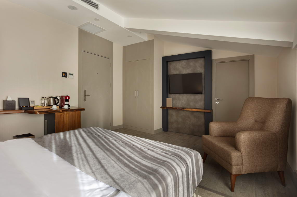 Deluxe Room with Terrace4